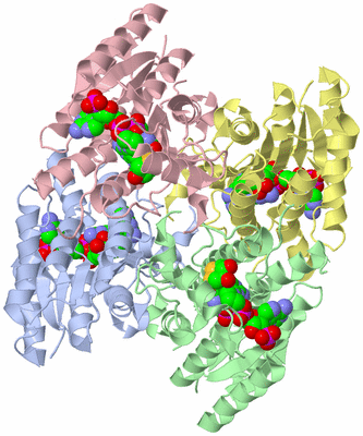 Image Asym./Biol. Unit