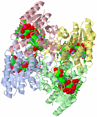 Image Asym./Biol. Unit - sites