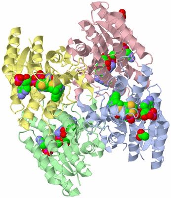 Image Asym./Biol. Unit