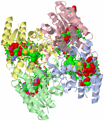 Image Asym./Biol. Unit - sites