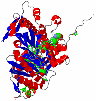 Image Asym. Unit - sites