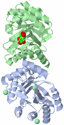 Image Asym./Biol. Unit