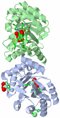 Image Asym./Biol. Unit - sites