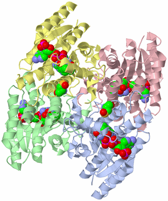 Image Asym./Biol. Unit