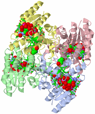 Image Asym./Biol. Unit - sites