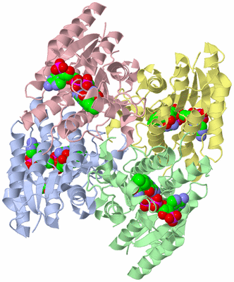 Image Asym./Biol. Unit