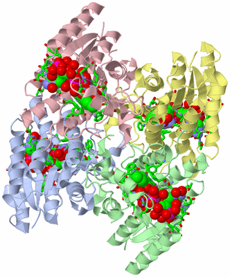 Image Asym./Biol. Unit - sites