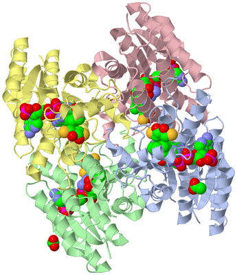 Image Asym./Biol. Unit