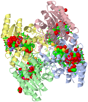 Image Asym./Biol. Unit - sites