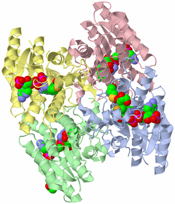 Image Asym./Biol. Unit