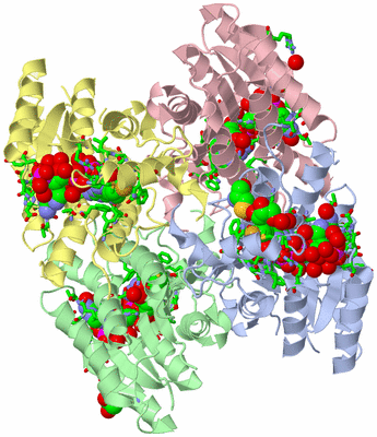 Image Asym./Biol. Unit - sites