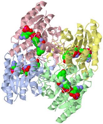 Image Asym./Biol. Unit