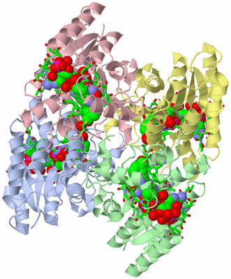 Image Asym./Biol. Unit - sites