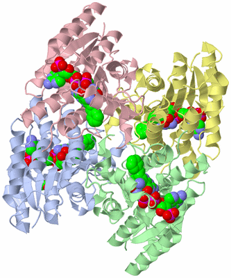 Image Asym./Biol. Unit