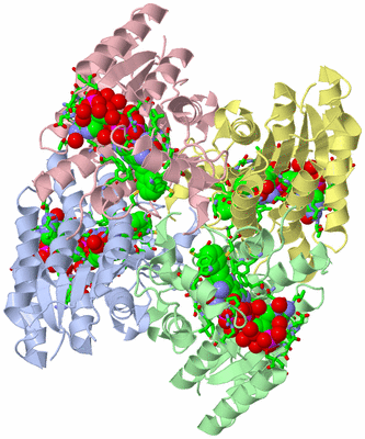 Image Asym./Biol. Unit - sites