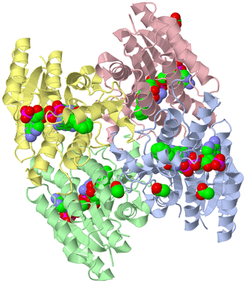 Image Asym./Biol. Unit