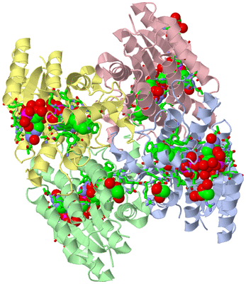 Image Asym./Biol. Unit - sites