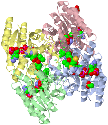 Image Asym./Biol. Unit