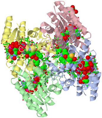 Image Asym./Biol. Unit - sites