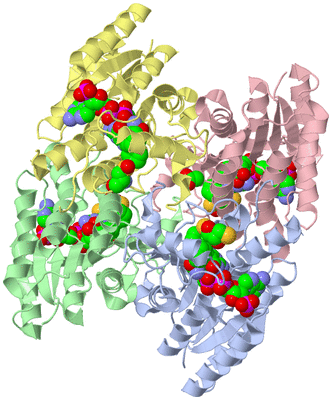 Image Asym./Biol. Unit