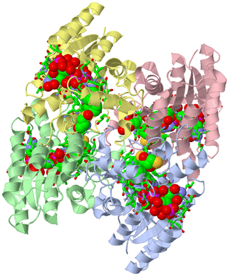 Image Asym./Biol. Unit - sites