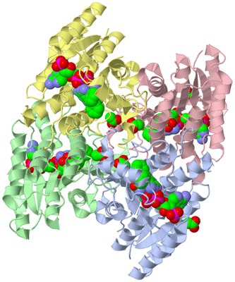 Image Asym./Biol. Unit