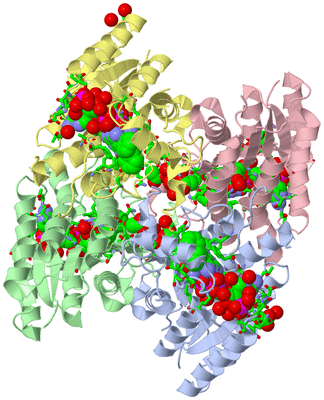 Image Asym./Biol. Unit - sites