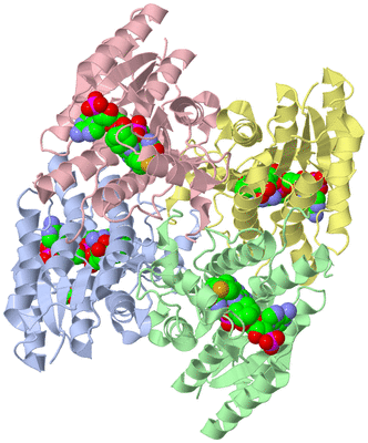 Image Asym./Biol. Unit