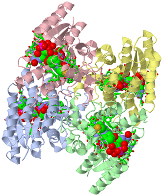 Image Asym./Biol. Unit - sites