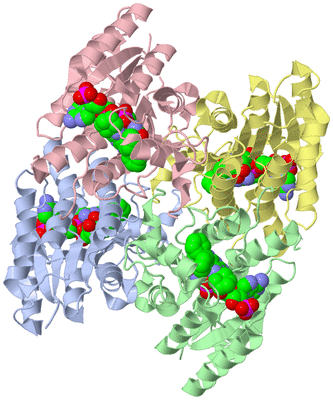 Image Asym./Biol. Unit