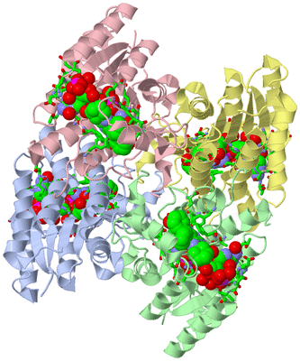 Image Asym./Biol. Unit - sites