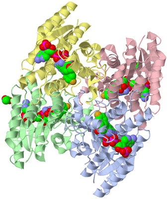 Image Asym./Biol. Unit