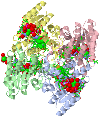 Image Asym./Biol. Unit - sites