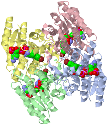 Image Asym./Biol. Unit