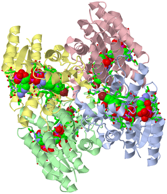 Image Asym./Biol. Unit - sites