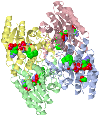 Image Asym./Biol. Unit