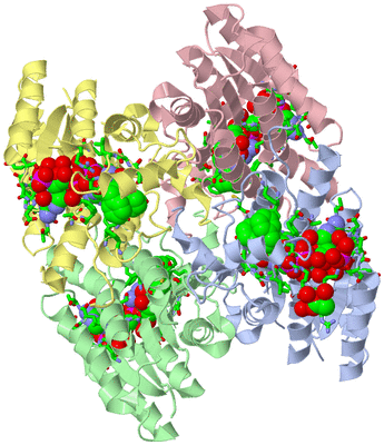 Image Asym./Biol. Unit - sites