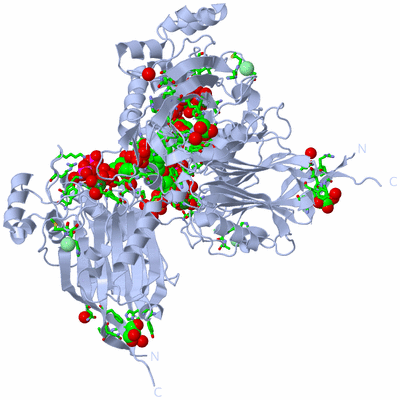 Image Biol. Unit 1 - sites