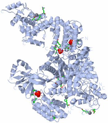 Image Biol. Unit 1 - sites