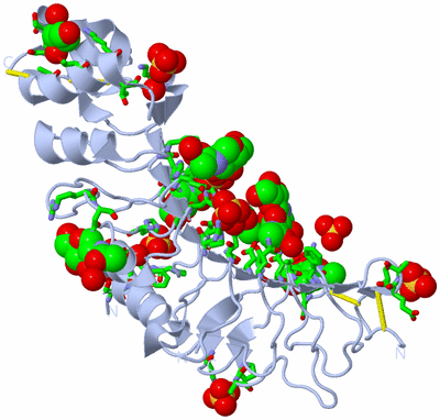 Image Biol. Unit 1 - sites