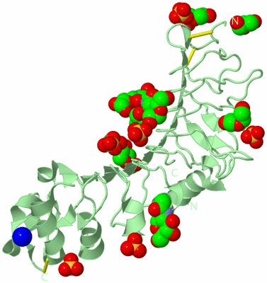 Image Biological Unit 2