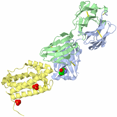 Image Biological Unit 1