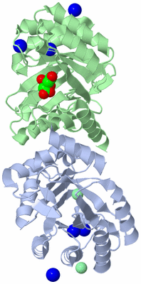 Image Asym./Biol. Unit