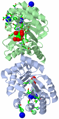 Image Asym./Biol. Unit - sites