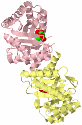 Image Biological Unit 1