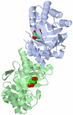 Image Biological Unit 3