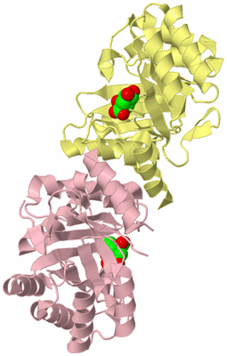 Image Biological Unit 4