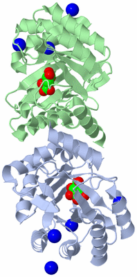 Image Asym./Biol. Unit