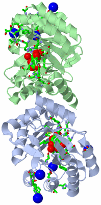 Image Asym./Biol. Unit - sites