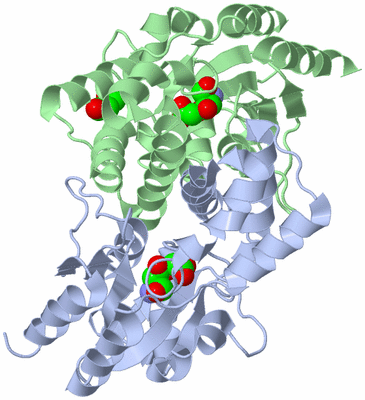 Image Asym./Biol. Unit